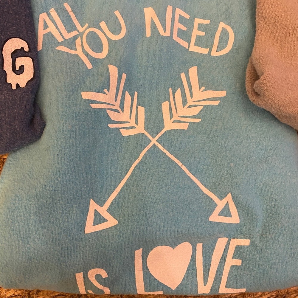 Wildfox Sweatshirts - Picture 3 of 9